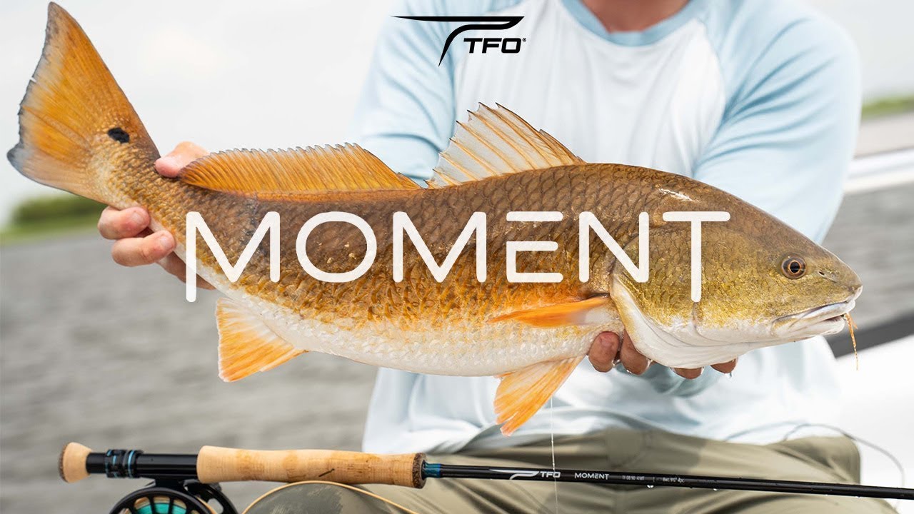 NEW | TFO MOMENT Fly Rod Series