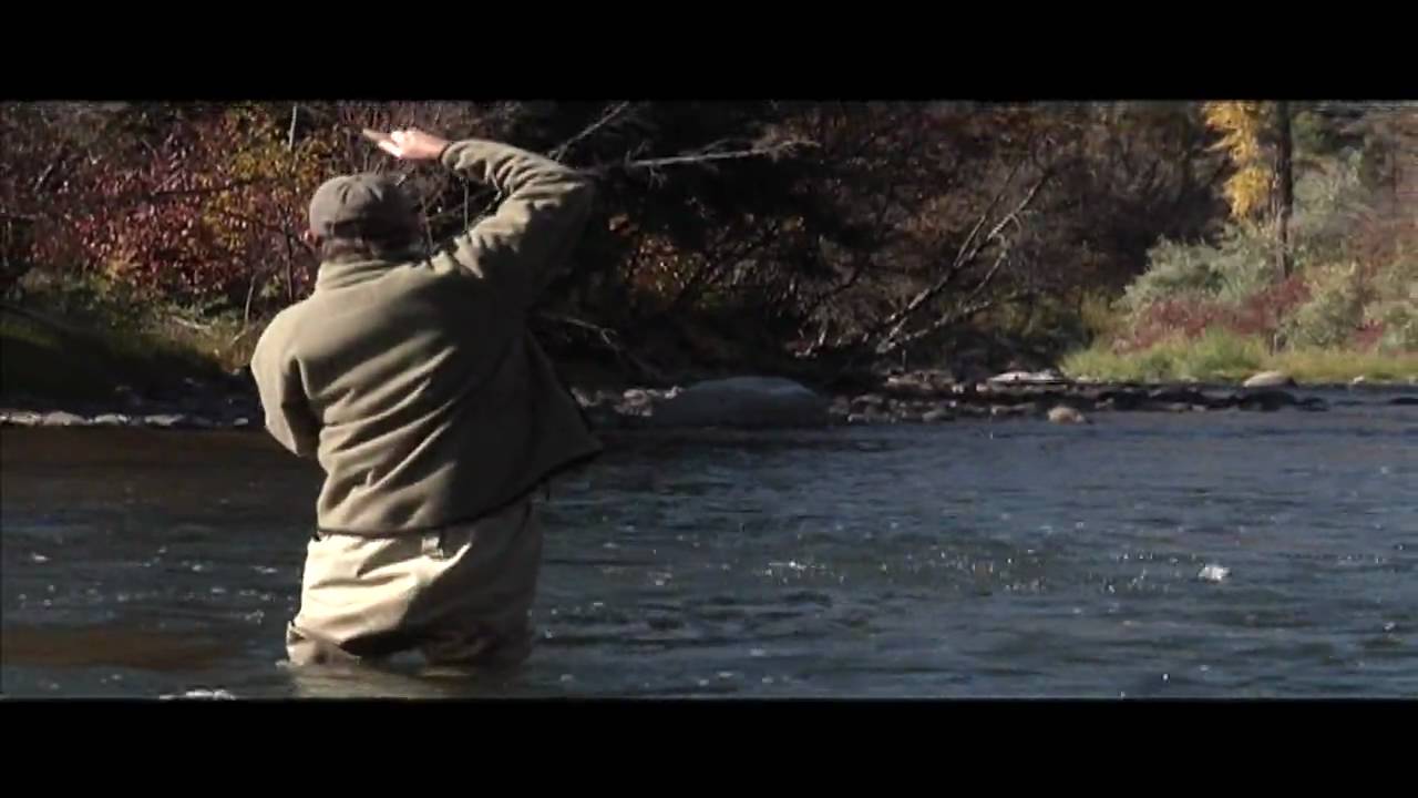 Fly Fishing Colorado: Fall Streamer Fishing For Trout