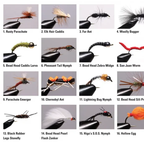 Flies Flies