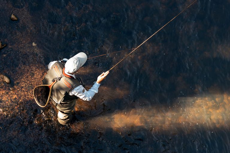fly fishing fundamentals