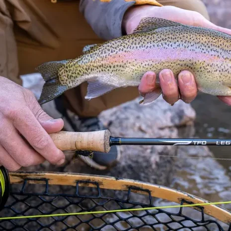 tfo-legacy-fly-rod-2026-flyfishing-outfitter tfo-legacy-fly-rod-2026-flyfishing-outfitter